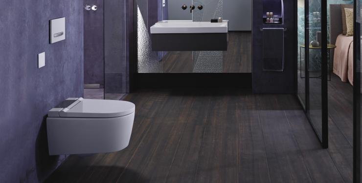 2023-03-pagot-savoie-toilette-japonaise